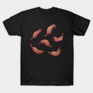 Platypus T-Shirt